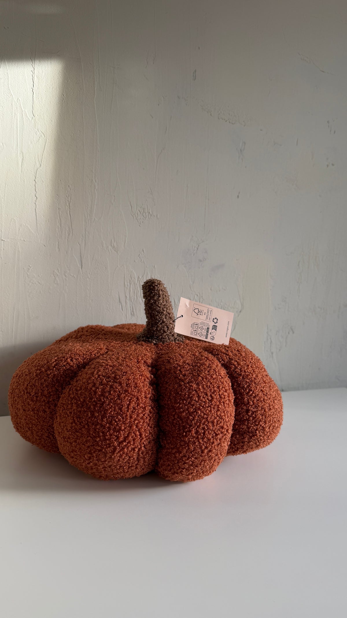 K i s s e n. |pumpkin