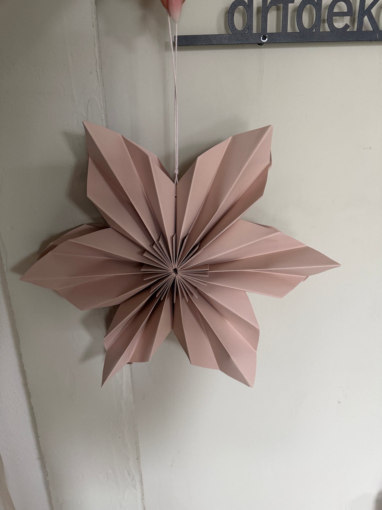 p a p e r | Blume