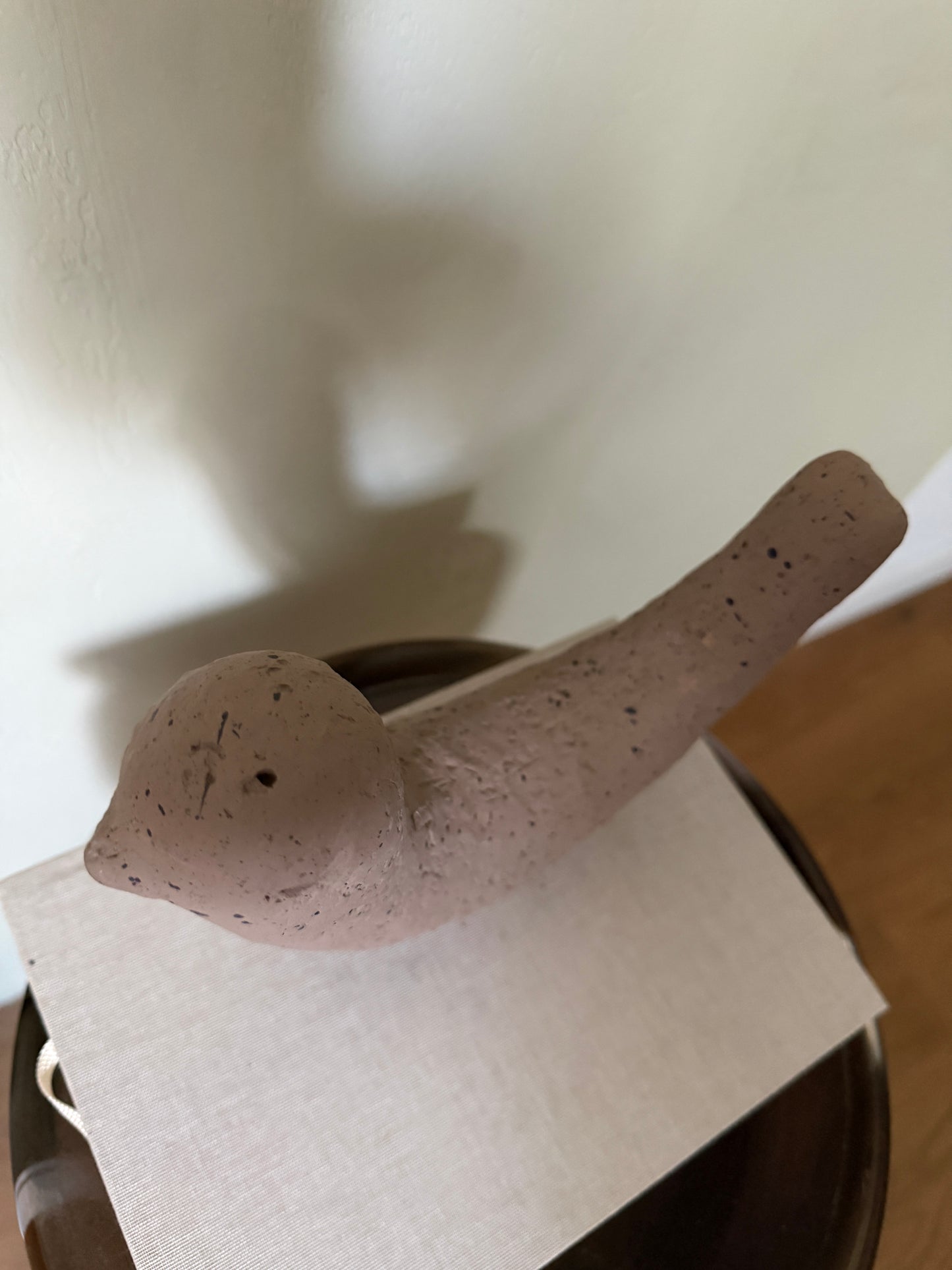 b i r d s.   black & mocha mousse