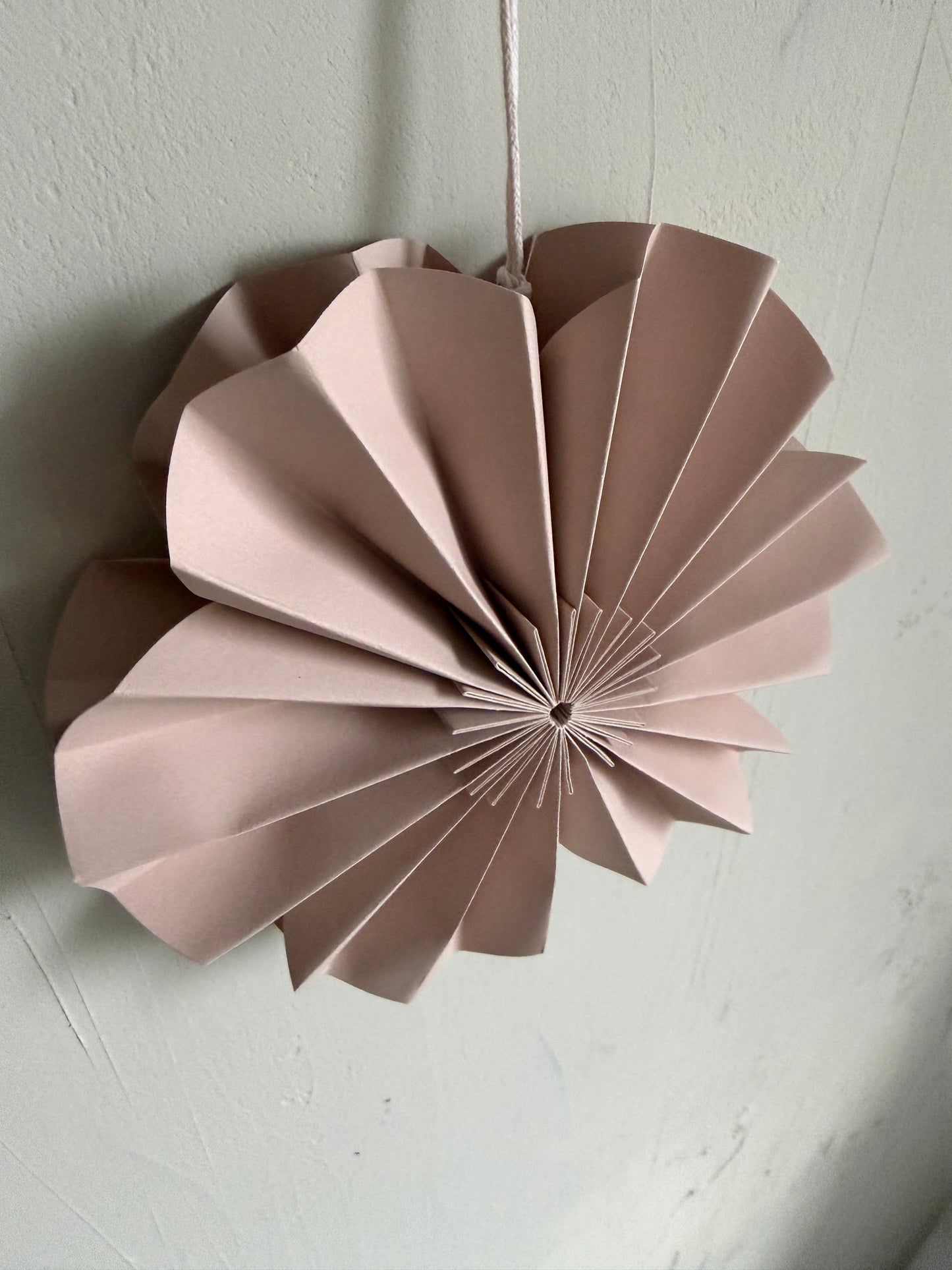 p a p e r | Blume
