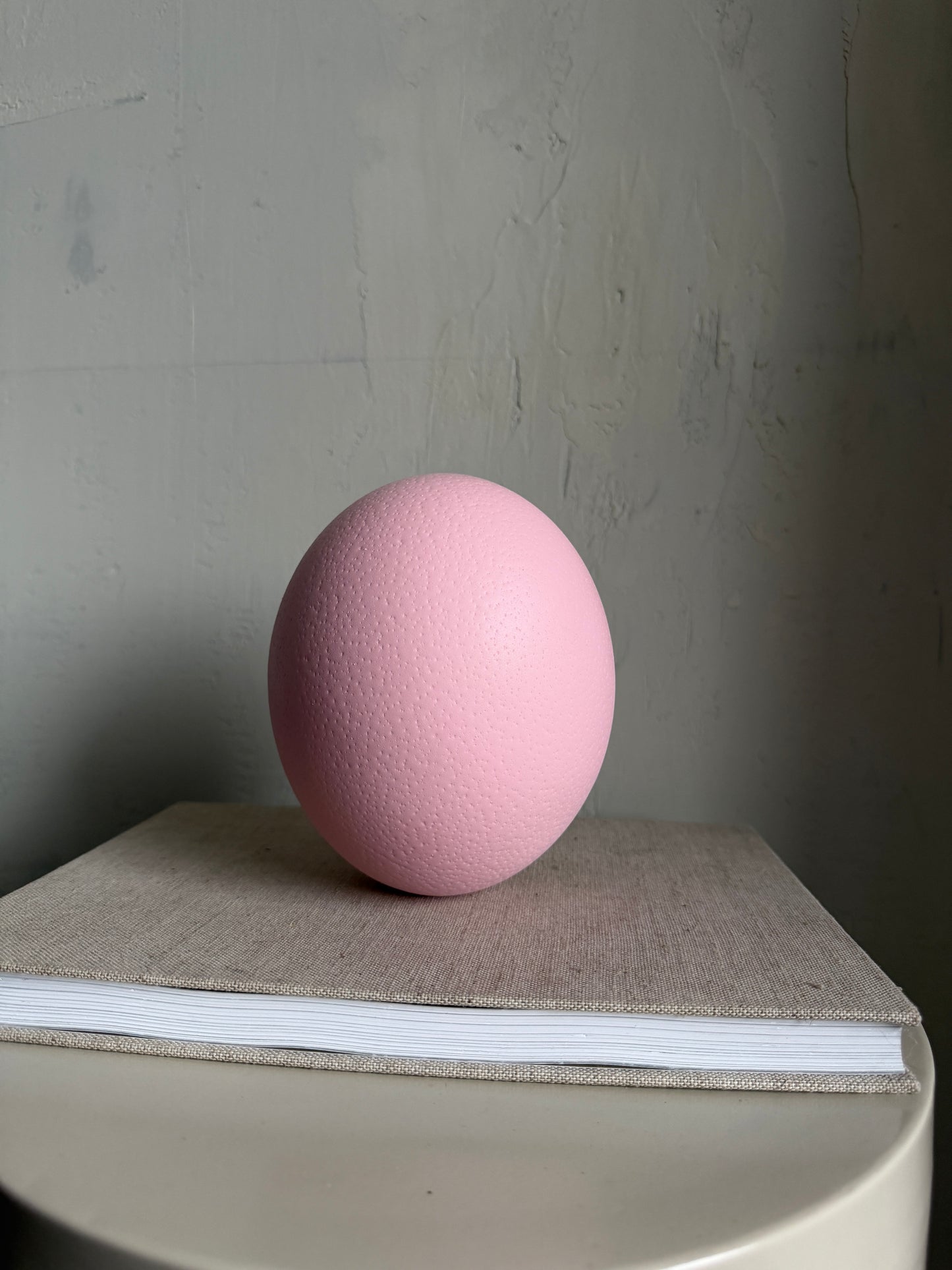 r o s a - Straussenei