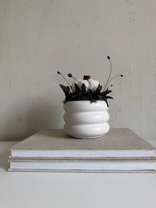 white | a u t u m n