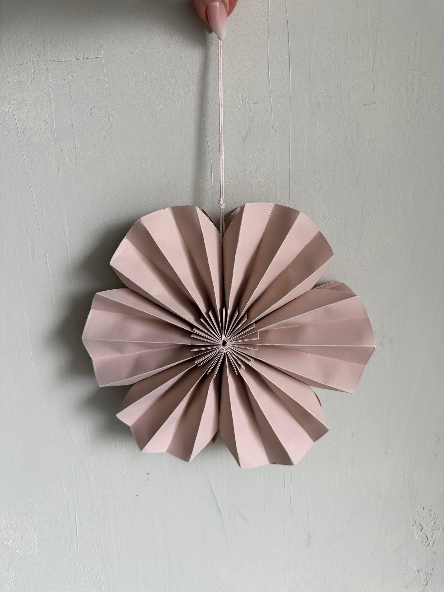 p a p e r | Blume