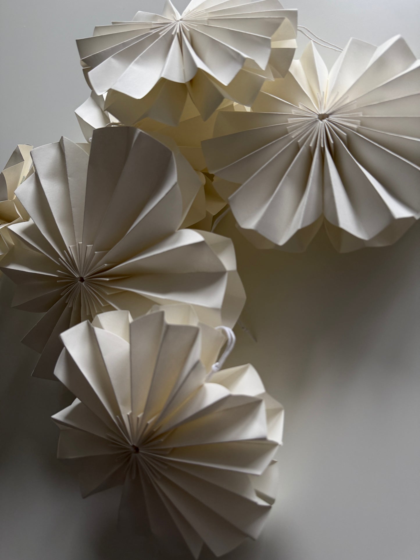p a p e r | Blume