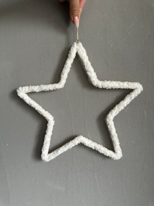 t e d d y  -star