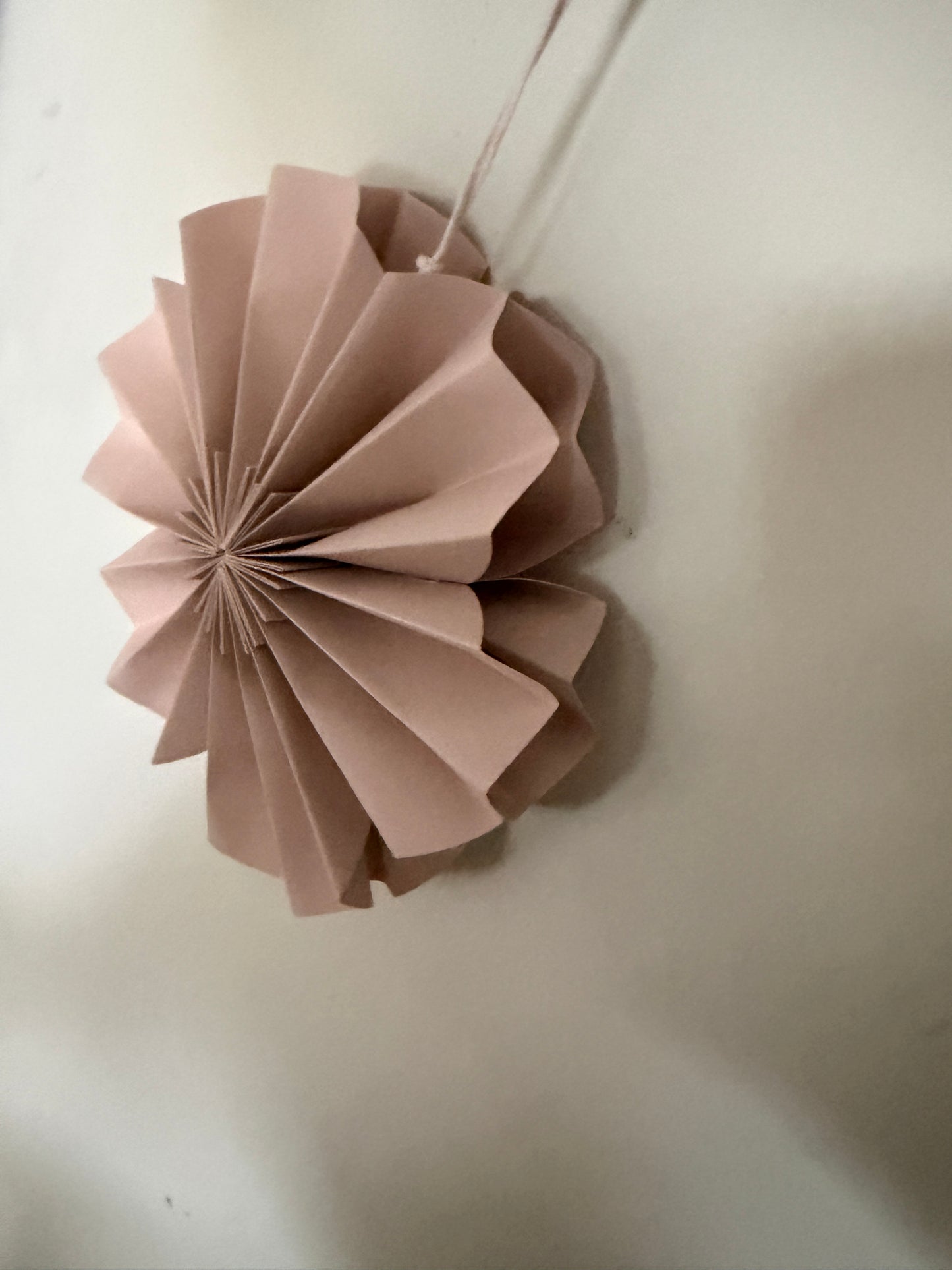p a p e r | Blume